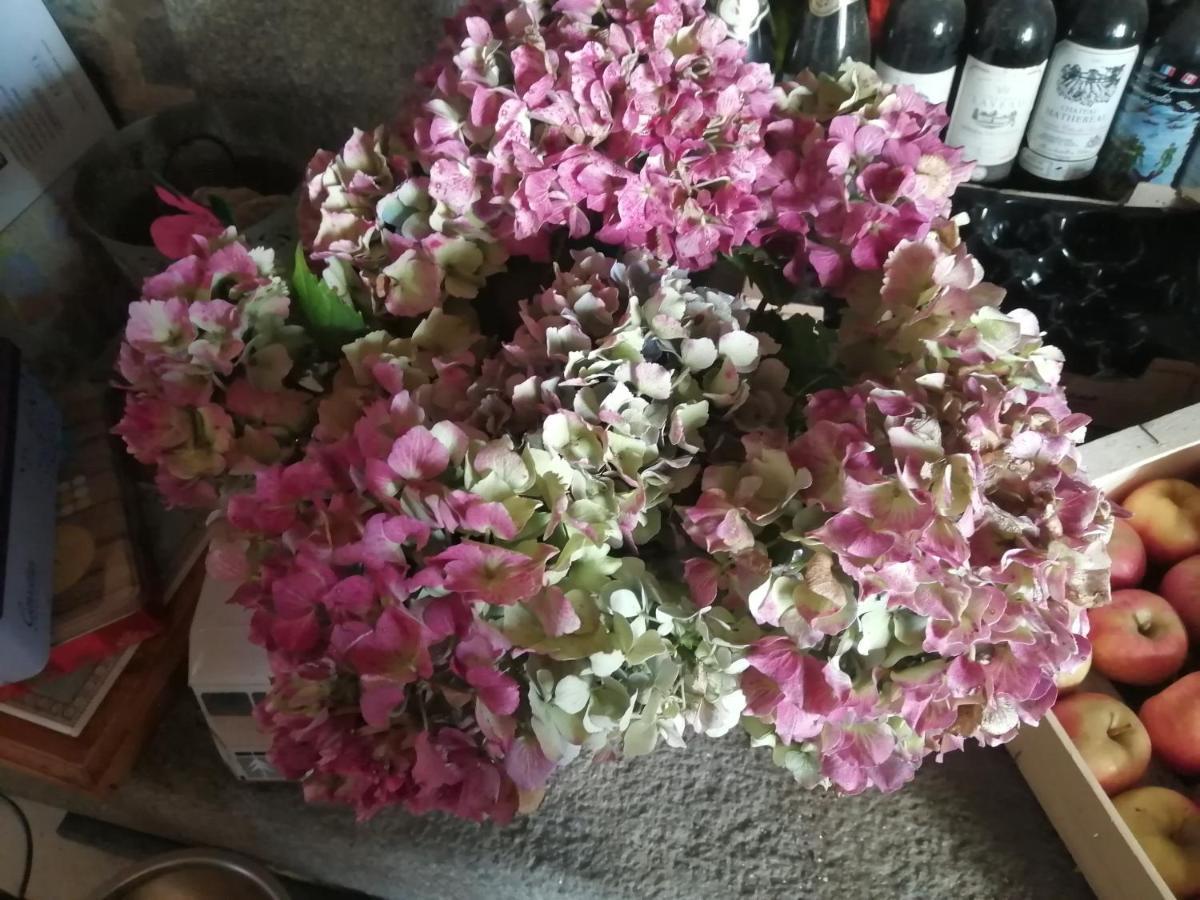 Gite Hydrangea Lanhelin Экстерьер фото